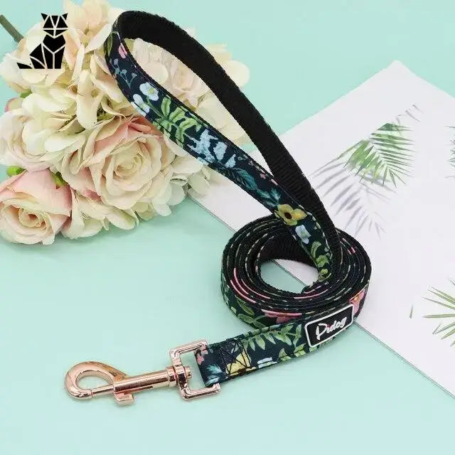 Collier Chien Personnalisable Avec Ou Sans Laisse
