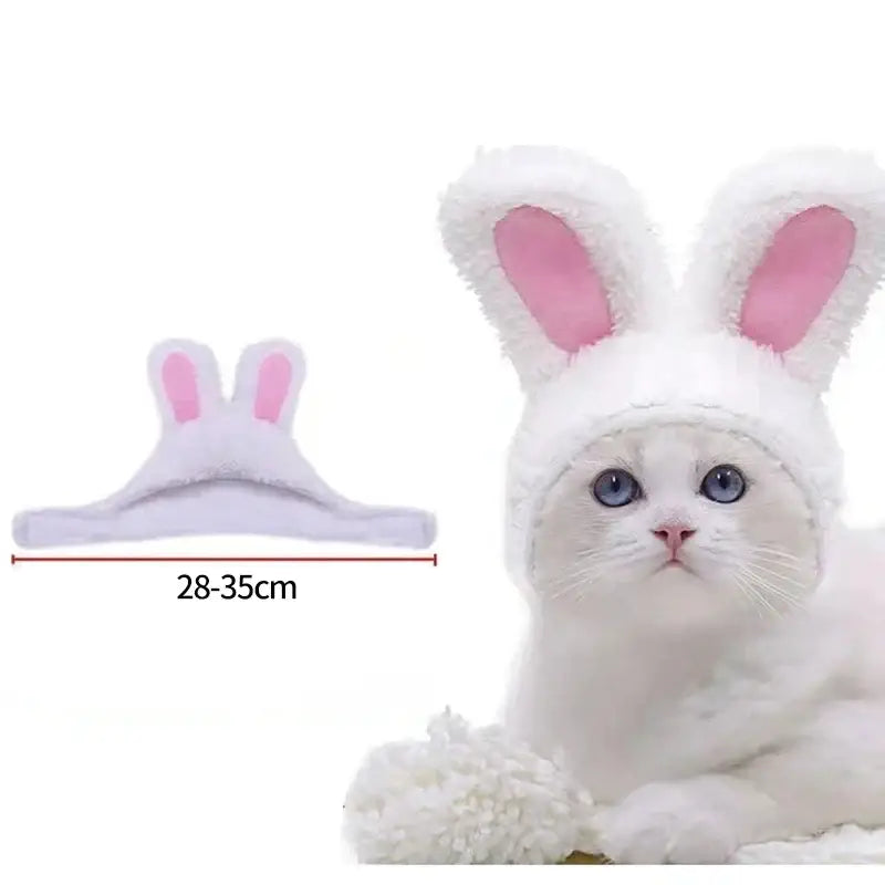 Chat blanc aux oreilles roses coiffé d’un bonnet de lapin en velours corail, modèle Soft Coral Velvet Cat Coat