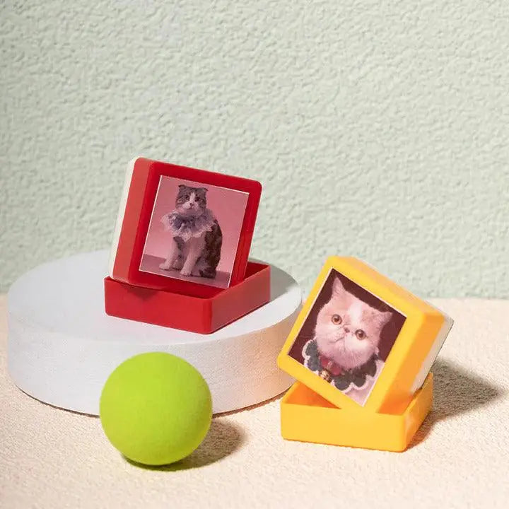 Pawprints™ : Tampon encreur motif chat, cadeau parfait