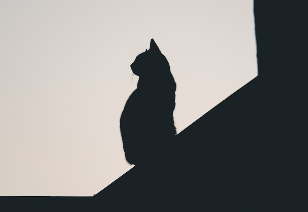 Kedi Boyama Teknikleri ile Sanatsal Becerilerinizi Geliştirin