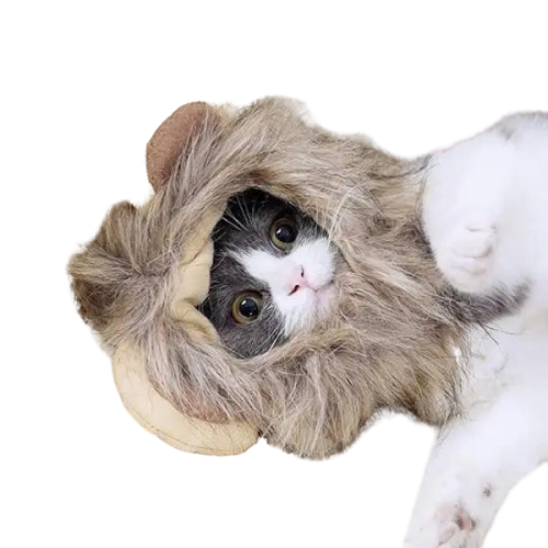 Bonnet pour Chat Cosplay Lion Transparent Background