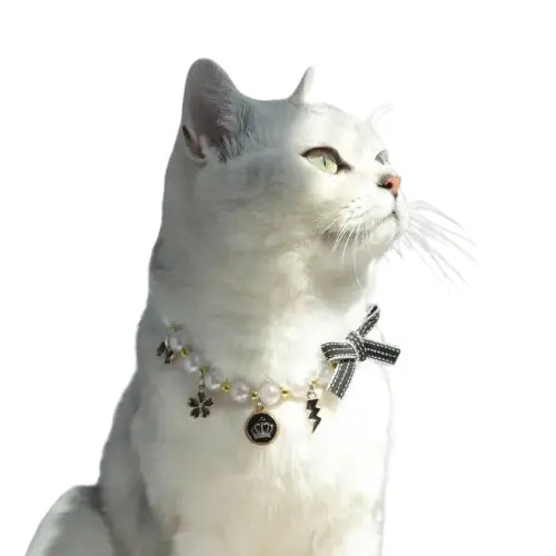 Chat blanc portant un nœud papillon avec un bavoir en plastique élégant et durable pour les occasions spéciales Transparent Background