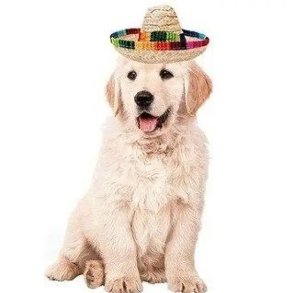 Chapeau pour Chien Été Mexicain