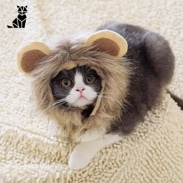 Bonnet pour Chat Cosplay Lion