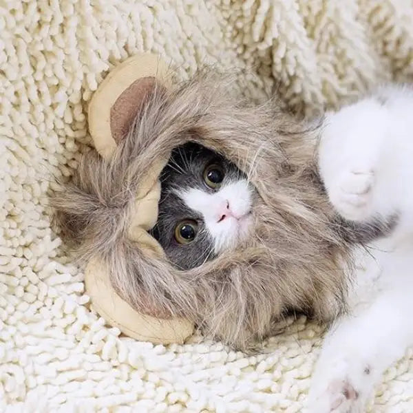 Bonnet pour Chat Cosplay Lion