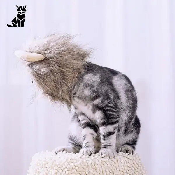 Bonnet pour Chat Cosplay Lion