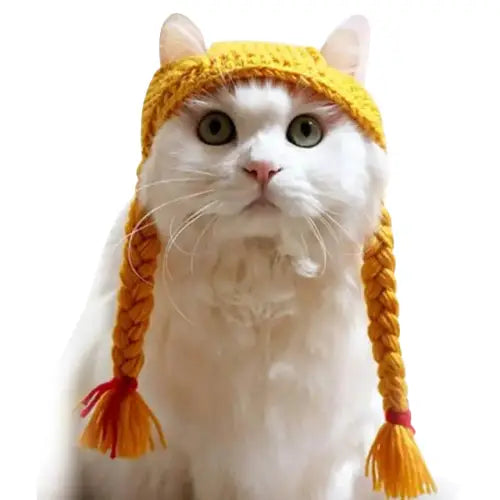 Bonnet pour Chat Tresses au Crochet Transparent Background