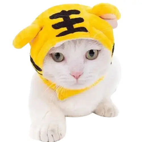 Bonnet pour Chat en Tricot Tigre Transparent Background