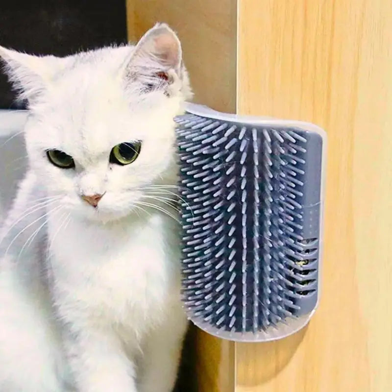 Brosse pour chat | ChaGratte™