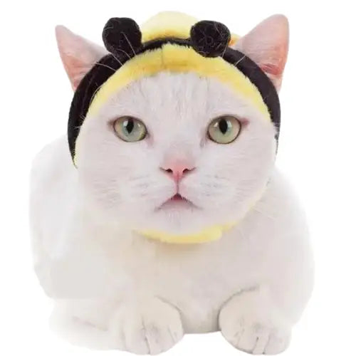 Chat blanc en costume d’abeille unique, chapeau de chat Maya L’Abeille : design confortable Transparent Background