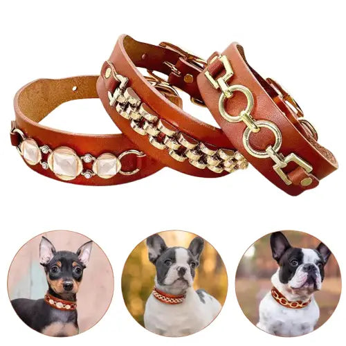 Collier Chien En Cuir Pour Chiots Et Chiens Moyens Transparent Background