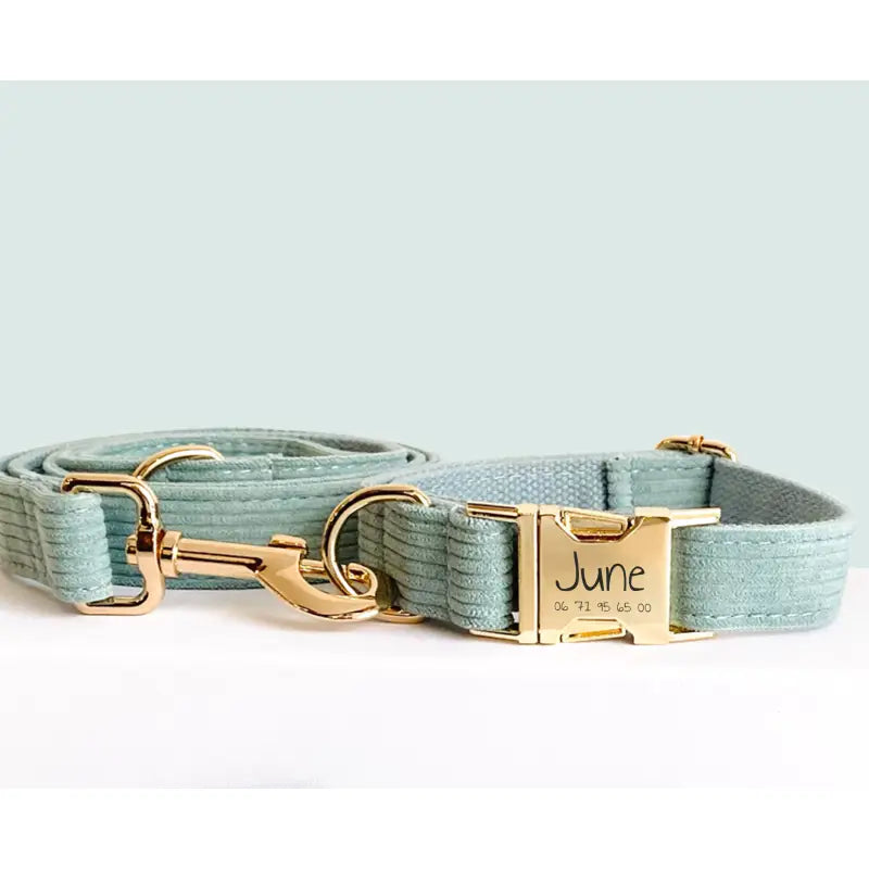 Collier Chien Personnalisé Velours Côtelé Bleu Ciel