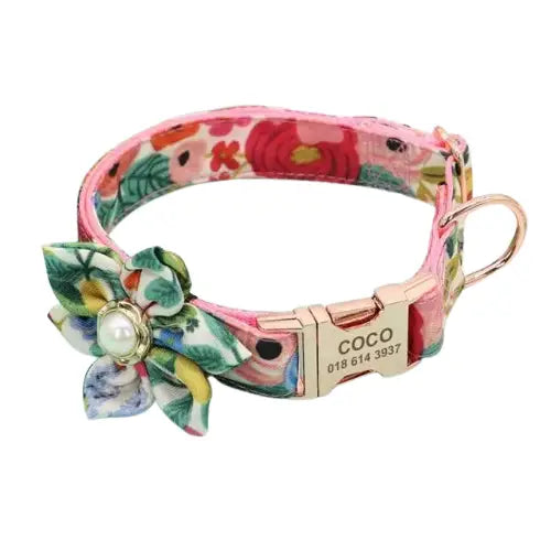 Collier Chien Personnalisable Avec Ou Sans Laisse Transparent Background