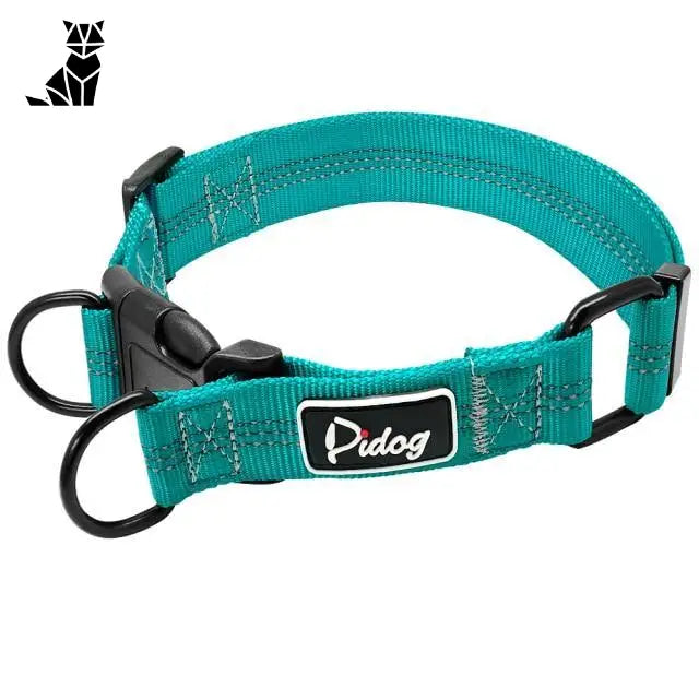 Collier Chien Réfléchissant Ajustable