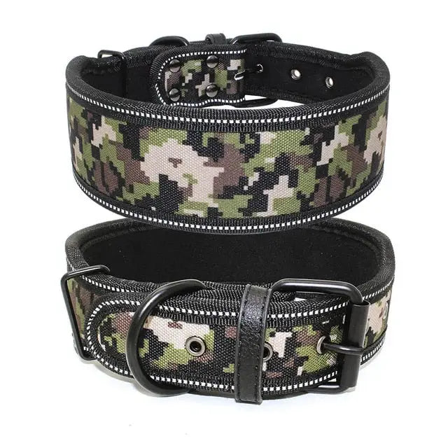 Collier pour American Bully