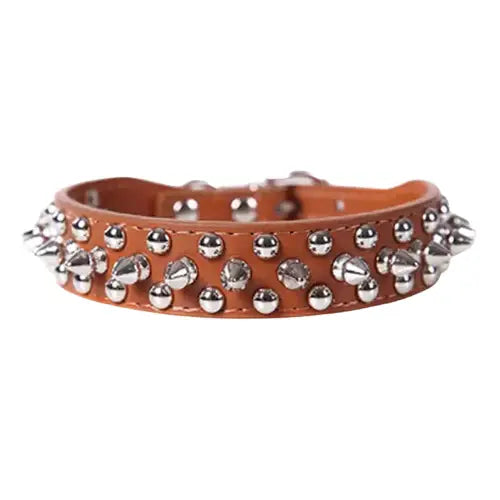 Collier pour Staffie Transparent Background