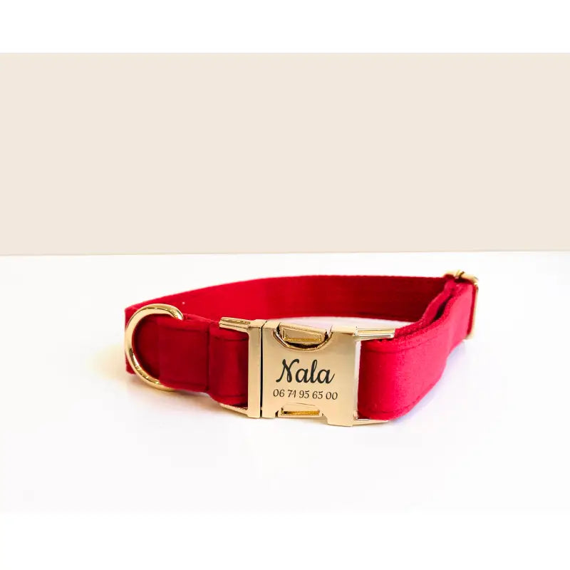 Collier Chien Personnalisé Velours Rouge