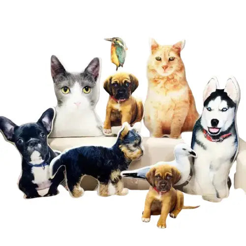 Un groupe confortable de chats et de chiens sur un canapé avec le Comfort Souvenir Cushion - élégante décoration Transparent Background