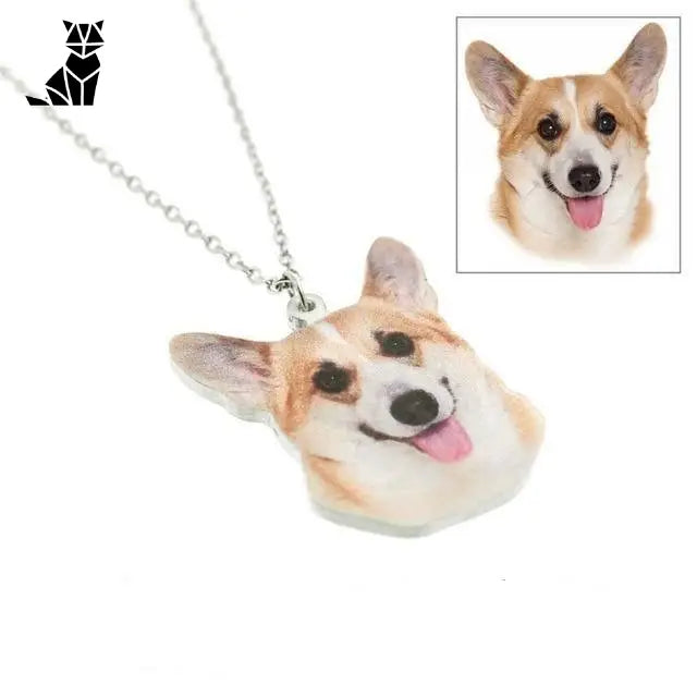 Collier Personnalisable Pour Chien / Chat En Argent