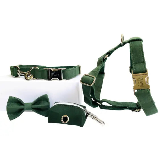 Kit Complet Chien Personnalisé Coton Vert Sapin Transparent Background