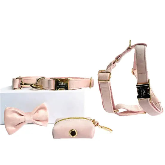 Kit Complet Chien Personnalisé Velours Rose Transparent Background