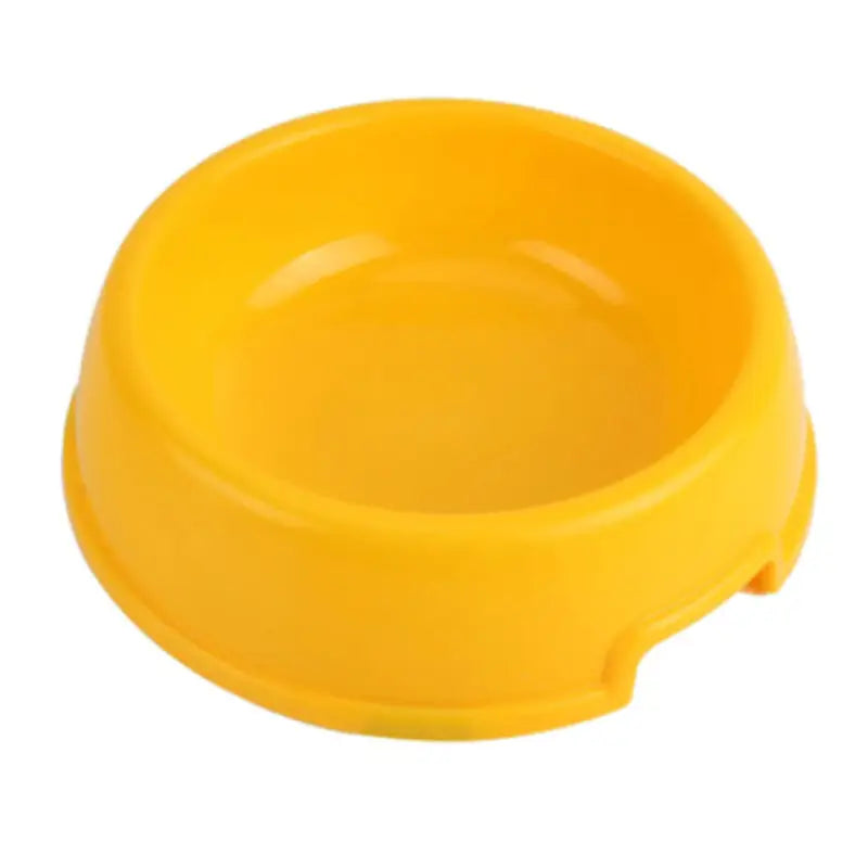 Gamelle colorée pour chien et chat