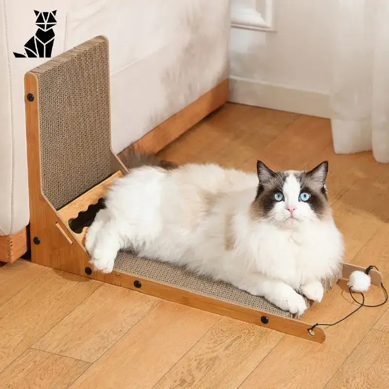 Griffoir Pour Chat: Préservez Vos Beaux Meubles Tout En Jouant!