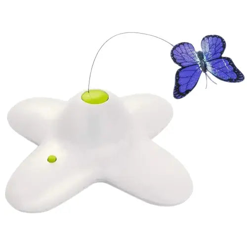 Jeu Papillon Interactif Pour Chats: Divertissement Et Stimulation! Transparent Background