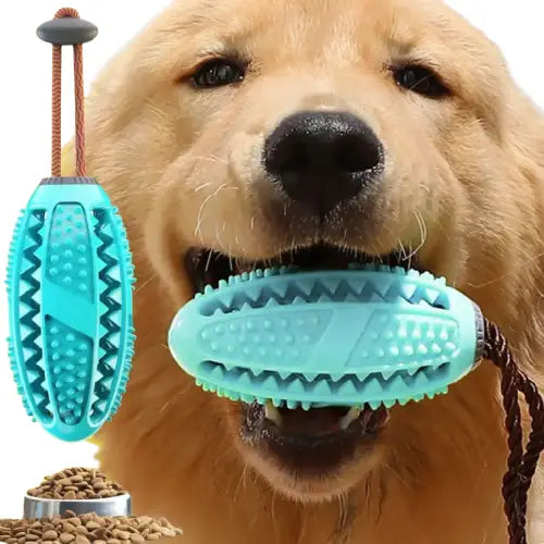 Jouet Brosse à Dents Pour Chien Transparent Background