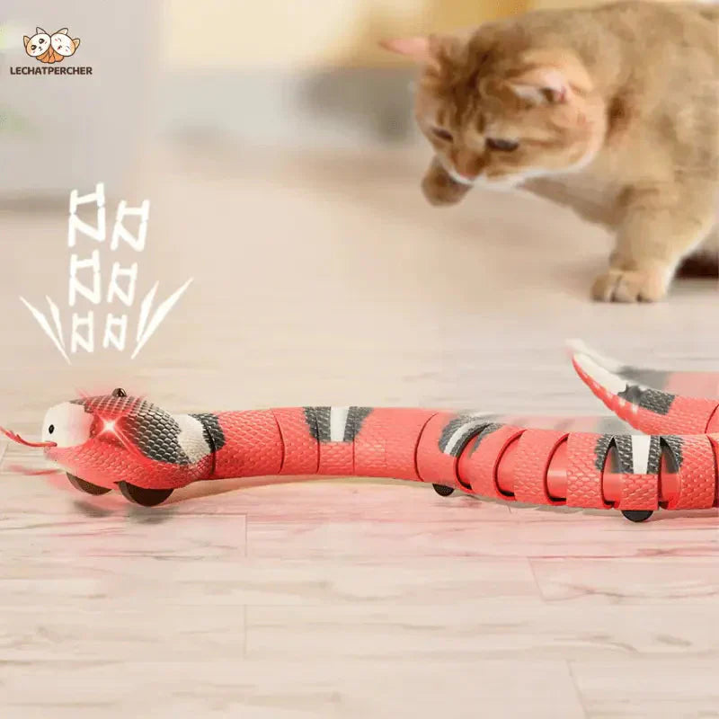 Chat jouant avec un serpent jouet interactif sur le sol