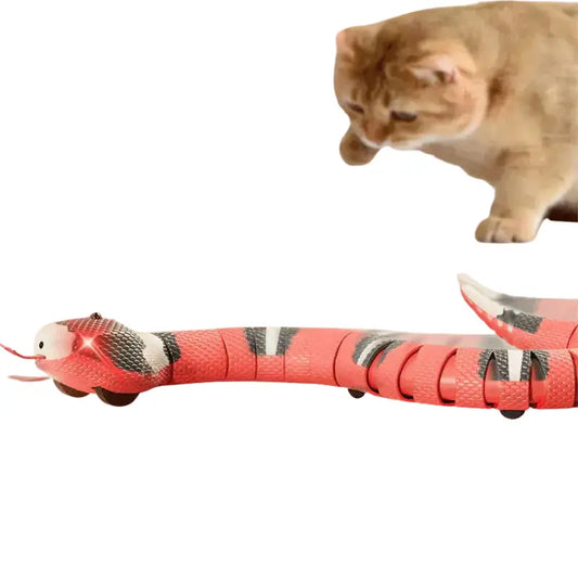 Chat jouant avec un serpent jouet interactif sur le sol Transparent Background