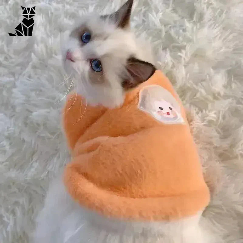 Mignon chaton dans un manteau de fausse fourrure qui fait un câlin à un animal en peluche. Vêtement parfait pour chats !