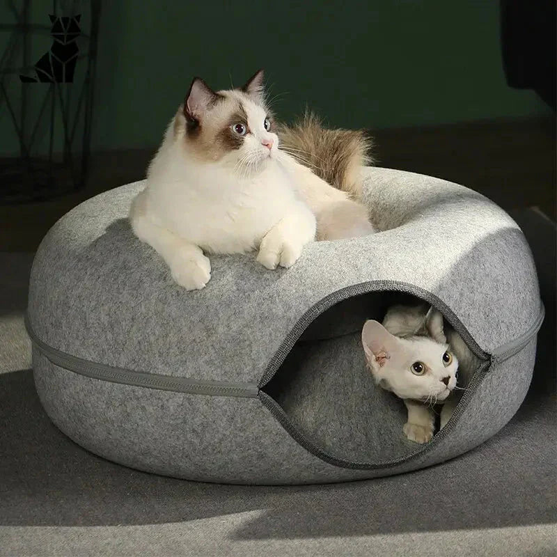 Cat laying in Cozy Cat Kennel bed - repos douillet et polyvalente pour chats