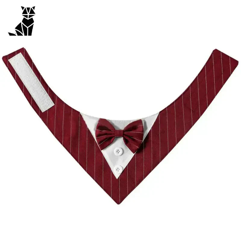 Gros plan d’un col avec un nœud papillon de la collection Comfortable and Elegant Bow Tie