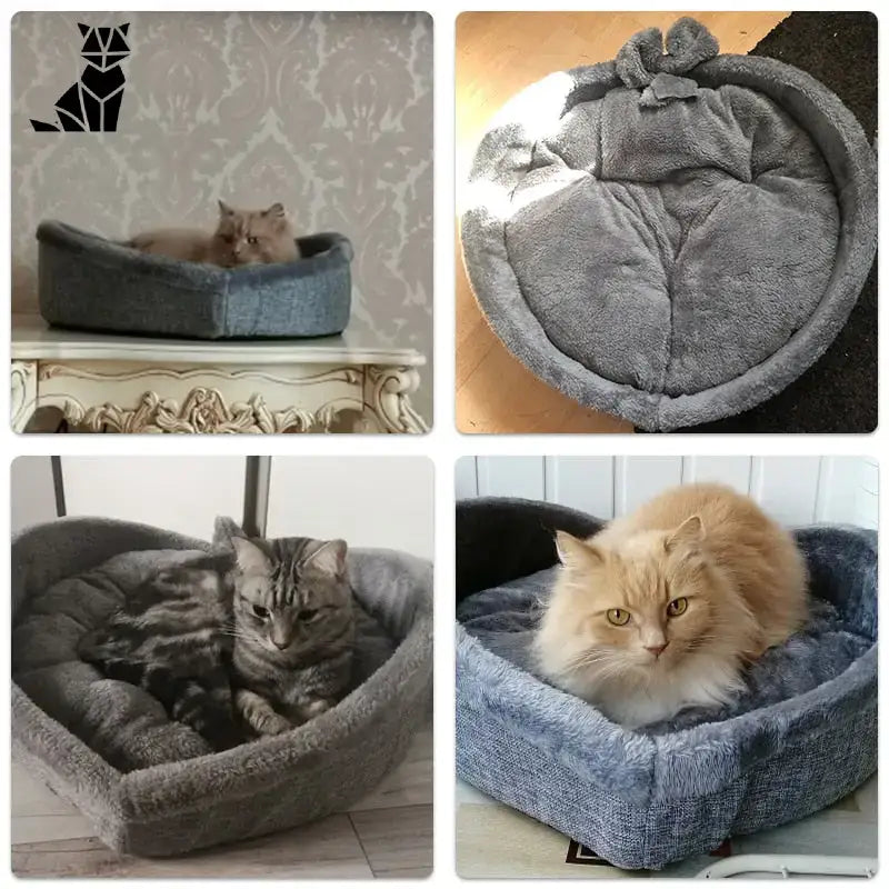 Panier Coeur Pour Un Sommeil Réparateur De Votre Chat Confortable