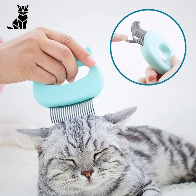 Peigne pour chat | MasseMiaou™