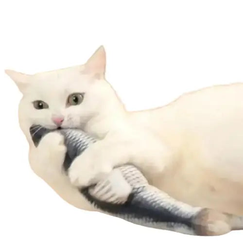 Poissons Pour Chat: Le Jouet Indispensable Pour Des Jeux Exaltants! Transparent Background