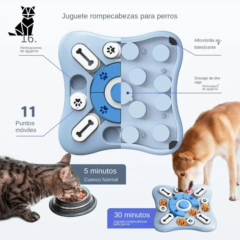 Chien et chat savourant la nourriture d’une mangeoire à puzzle stimulante