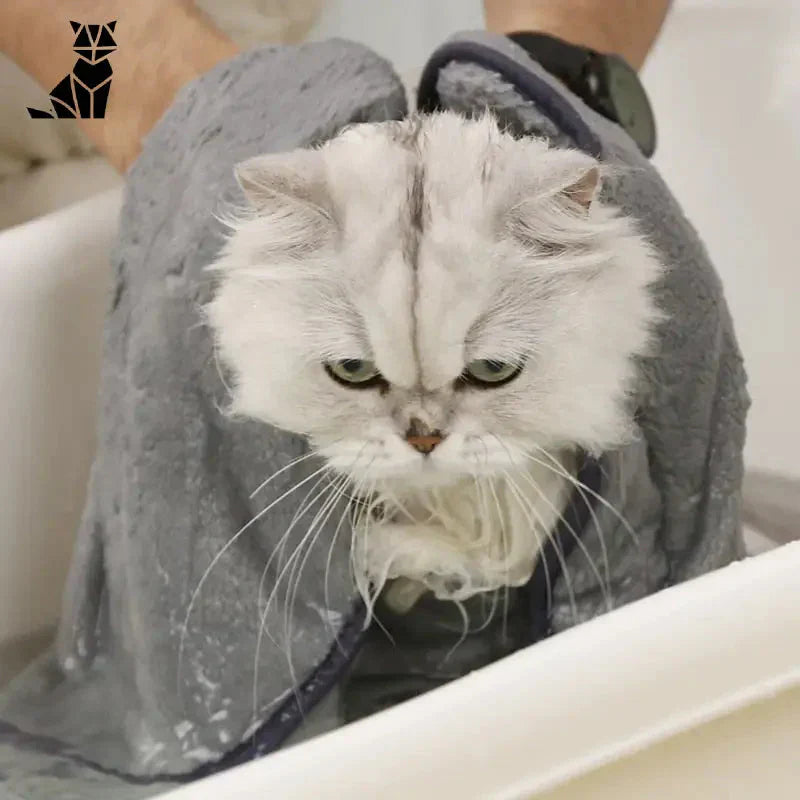 Chat assis dans une baignoire avec serviette à séchage rapide pour chats