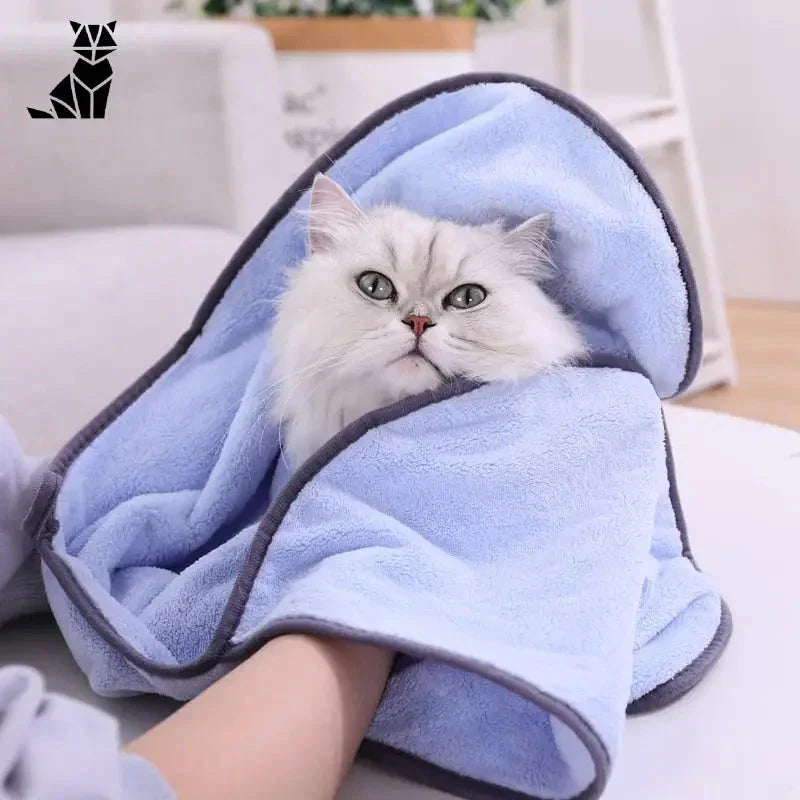 Chat mignon enveloppé dans une Serviette séchage rapide pour chats | Quick Drying Towel for Cats