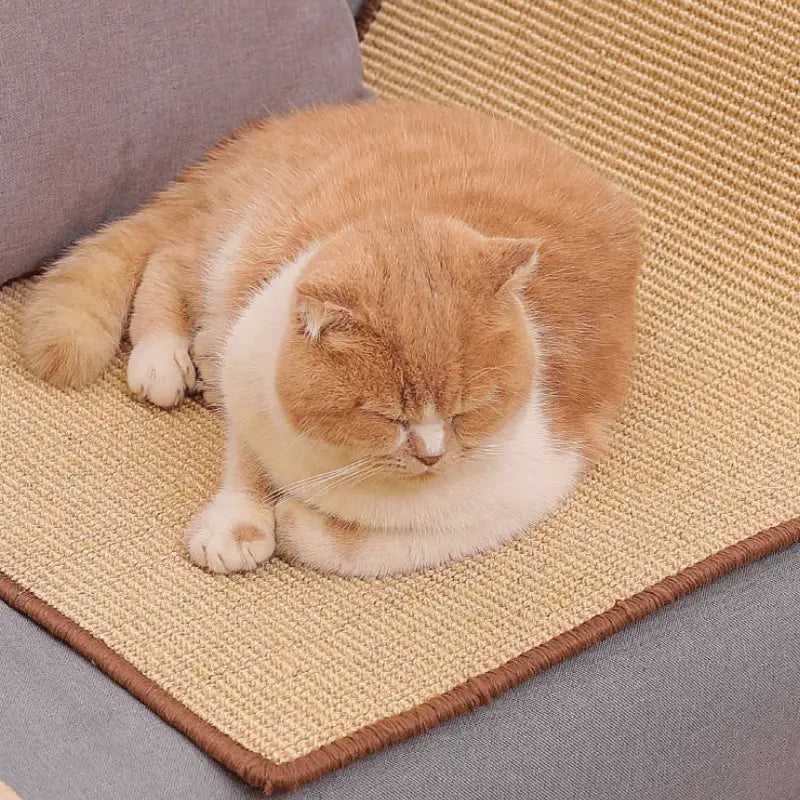 Tapis à gratter de luxe : Chat dormant sur le canapé à côté du tapis griffoir