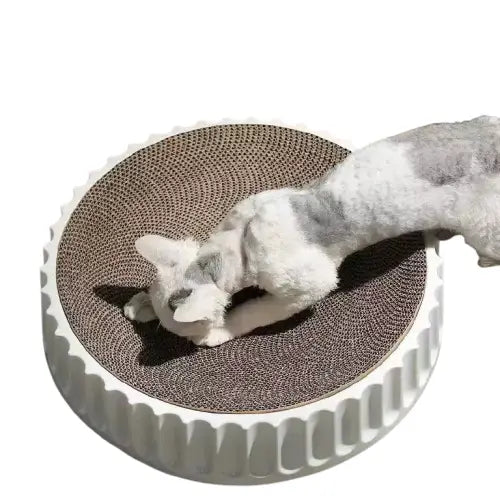 Chien couché sur tapis rond griffoir en papier ondulé Transparent Background